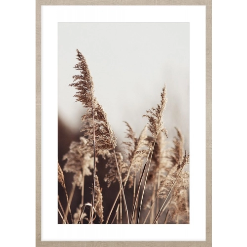 OBRAZ PAMPAS GRASS ON THE WIND NO.1